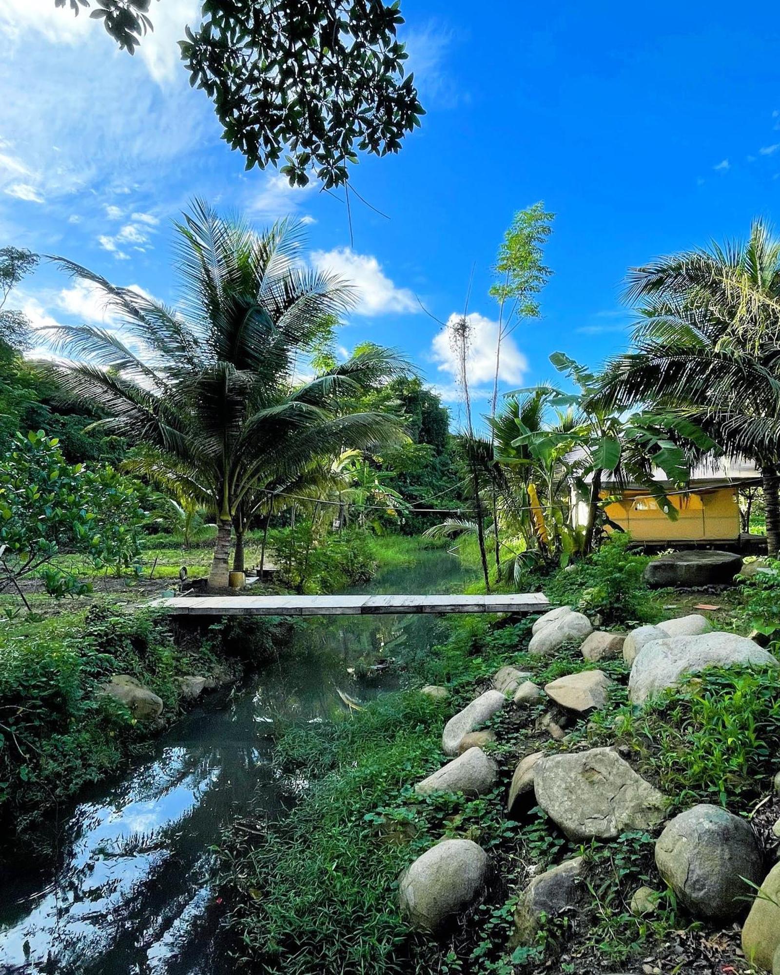 Con Dao Backpacker - Loco Camping Chi Khu Co Ong Dış mekan fotoğraf