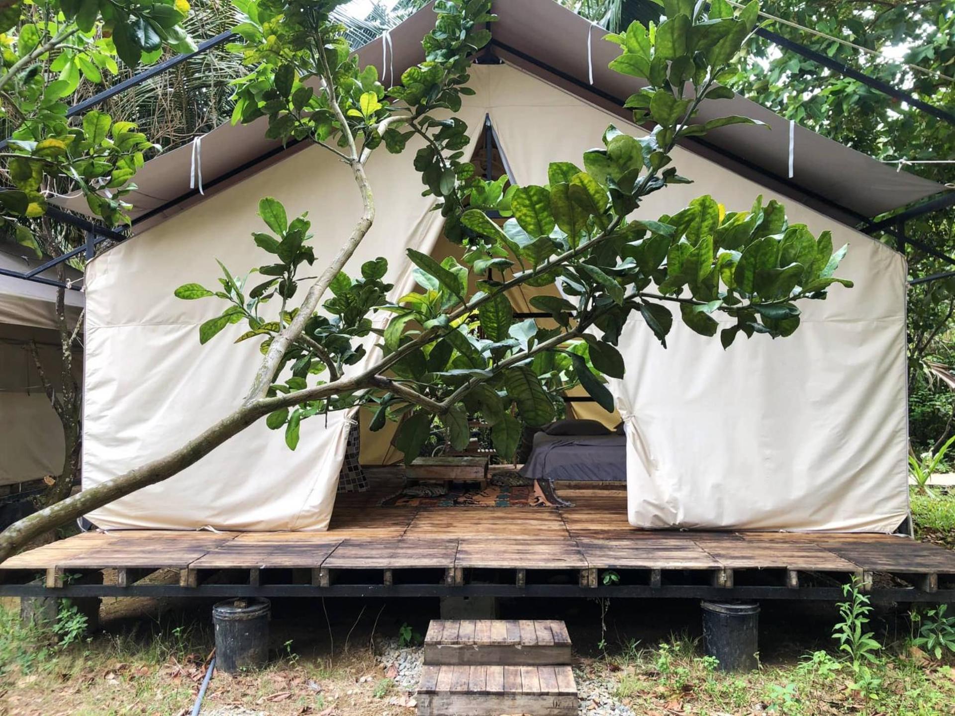 Con Dao Backpacker - Loco Camping Chi Khu Co Ong Dış mekan fotoğraf