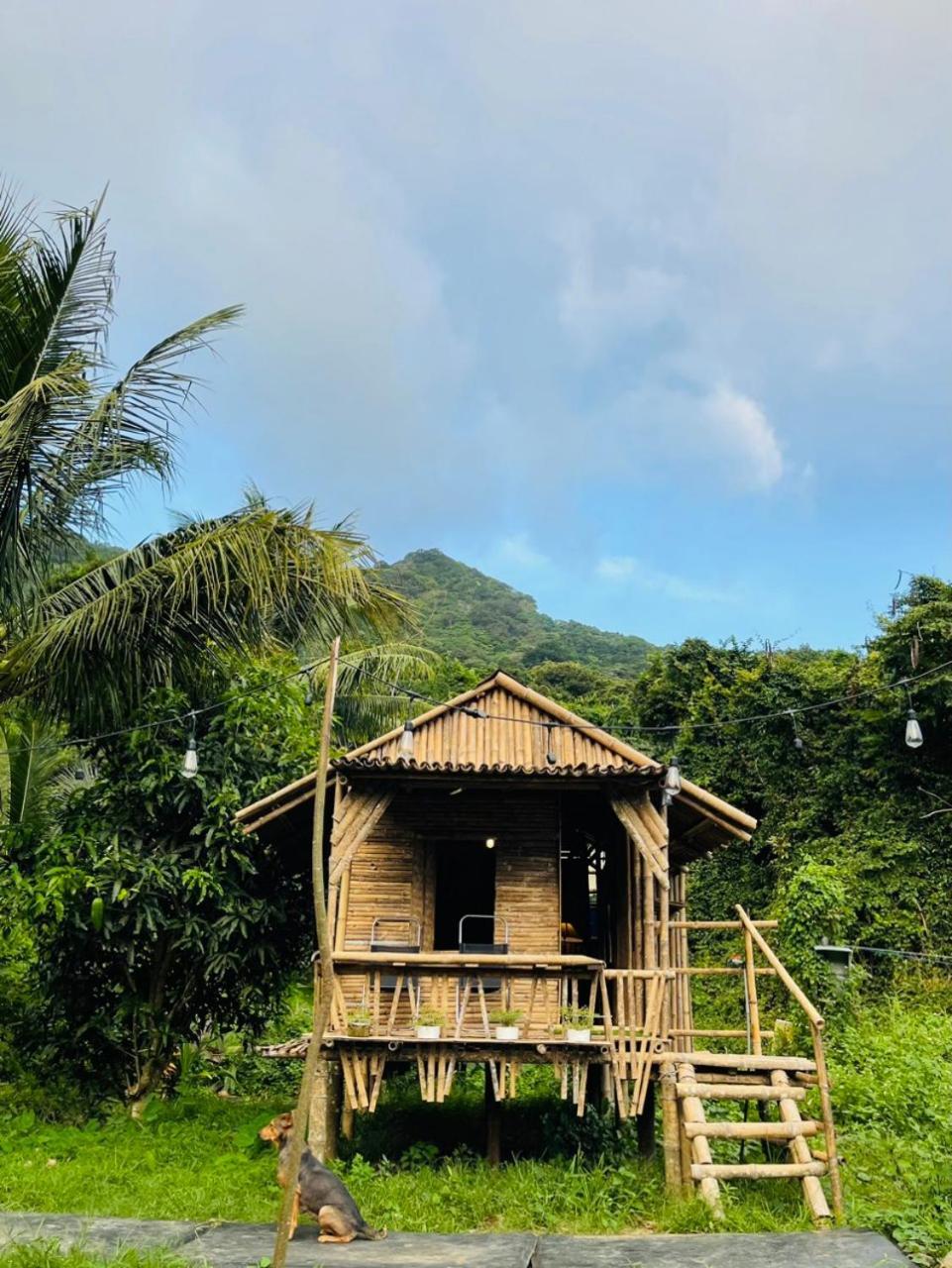 Con Dao Backpacker - Loco Camping Chi Khu Co Ong Dış mekan fotoğraf